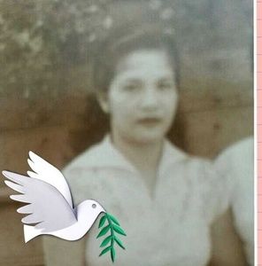 Meet your Posher, Eva